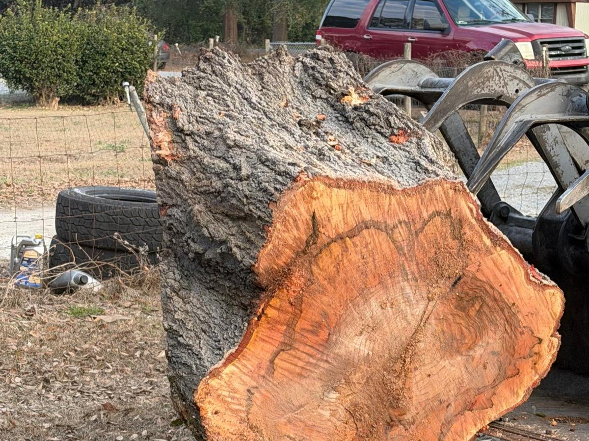 El Costeño Tree Service LLC